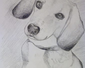 ritratto animale personalizzato