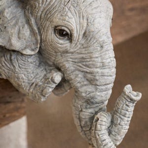 May include: A detailed sculpture of an elephant head and trunk, with a smaller elephant calf. The sculpture is a light gray color, with visible wrinkles and textures. The trunk of the larger elephant is touching the trunk of the smaller elephant.