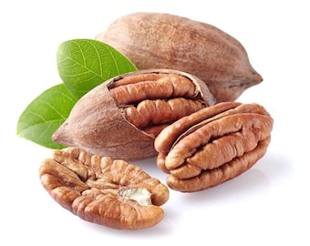 Georgian Hard Shell Pecans - 9 Lbs Box