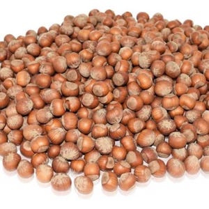 May include: A large pile of hazelnuts, with their characteristic brown shells, fills the frame. The nuts are of varying sizes and shapes, creating a natural, organic texture. The image is well-lit, highlighting the details of the shells.