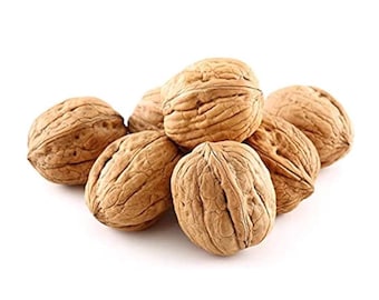Walnuts in Shell - New Crop - Jumbo - Chandler - Natural Shells  (1,5 Pound)