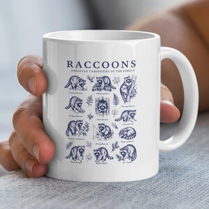 White mug with blue illustrations and text about raccoons and their behaviors.