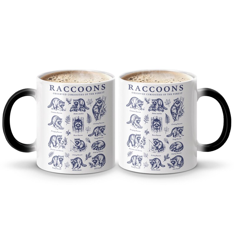 Two white mugs with blue raccoon illustrations and the text "Raccoons Observed Curiosities of the Forest."