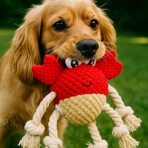 Crochet Crab Dog Toy with Squeaker – Handmade Pet Chew Toy for Small Dogs, Soft Puppy Toy, Eco-Friendly Plush Gift for Dog Lovers
