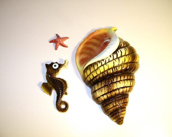 Vintage Enesco Pink Retro Seahorse Fish Shell Wall Plaque Pocket 1950s 1960s 50s Mermaid Bathroom Bath Decor Japan Lefton Norcrest Starfish
