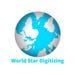 World Star Digitizing