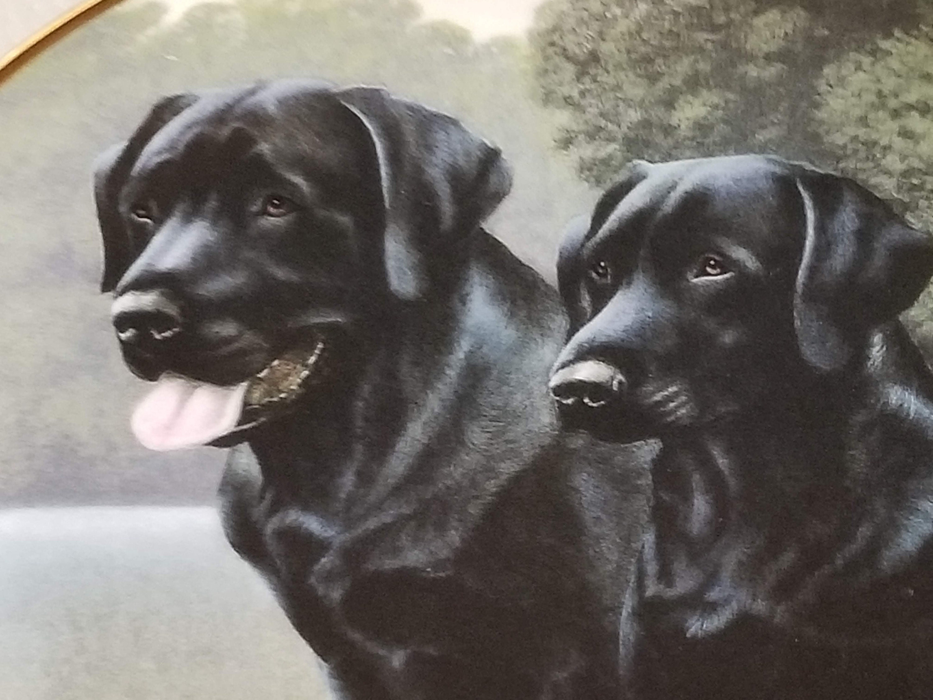 4 Royal Doulton Black Labrador Collector Plates Mans Best Friend Franklin Mint