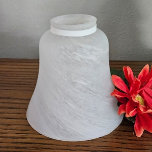 May include: A frosted glass lampshade with a white band at the top. The shade has a flared shape and a swirling pattern. A red flower with green leaves is next to the lampshade on a wooden surface.