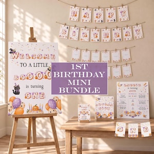 Puede incluir: Un conjunto de decoración para el primer cumpleaños con temática de Halloween que incluye un cartel de bienvenida en un caballete de madera, una pancarta de Happy Birthday, tarjetas de fotos, un tablero de hitos y carteles con fantasmas.