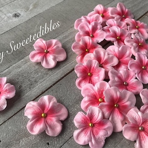 PRONTO per partire ORA Decorazioni per torte in pasta di gomma Edilbe, fiori in pasta di gomma rosa chiaro, 24 pezzi