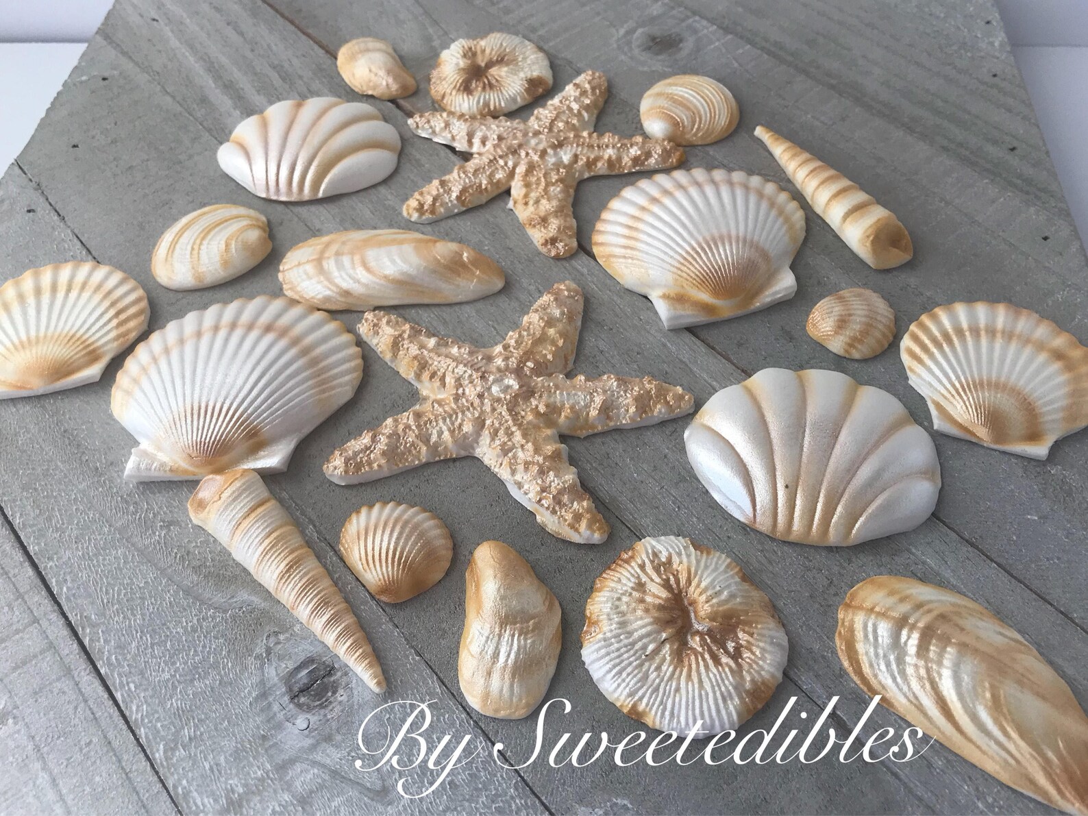 20 Piece Edible Gum Paste Seashells Etsy