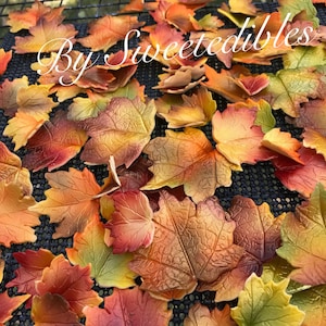 May include: A collection of colorful, edible autumn leaves in shades of red, orange, yellow, and green. The leaves are arranged on a black surface, with the text "By Sweetedibles" in a cursive font.