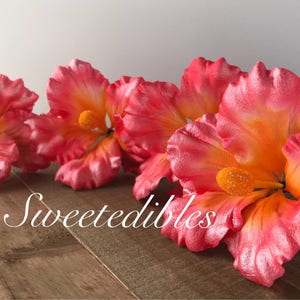 Gum Paste Hawaiian Hibiscus Flower Cake Decorations Pink Gumpaste