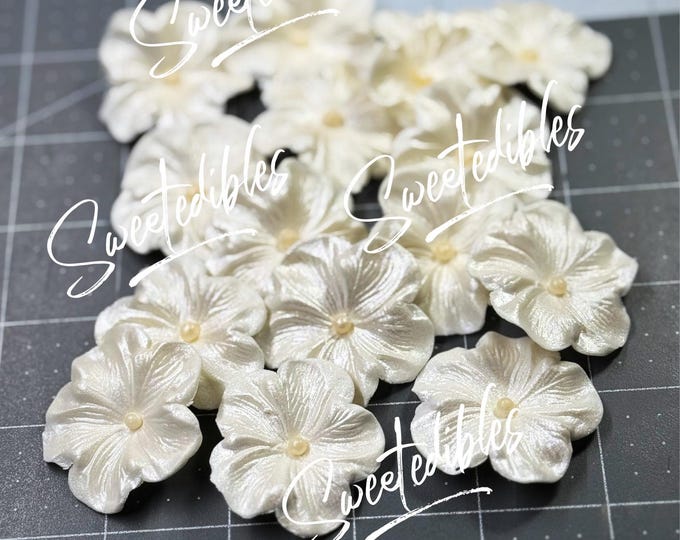 Gumpaste Cake Decorations WHITE Gum Paste Blossoms 24 piece