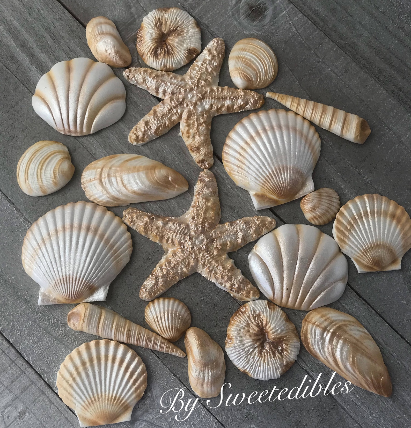 20 Piece Edible Gum Paste Seashells Etsy