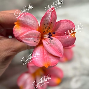 Alstroemeria Flower for Cake Decorating Gum Paste (Pink) Fondant