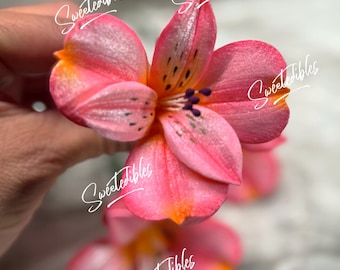 Alstroemeria Flower for Cake Decorating Gum Paste (Pink) Fondant