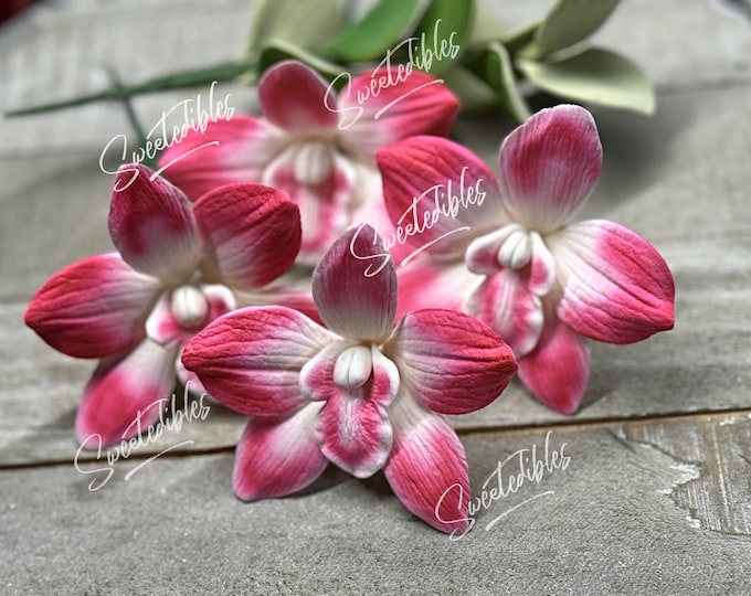 Gumpaste Dendrobium Sugar Orchid Singapore Orchid 1 flower PINK