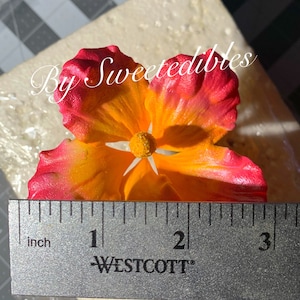 Gum Paste Hawaiian Hibiscus Flower Cake Decorations Pink Gumpaste Fondant image 8