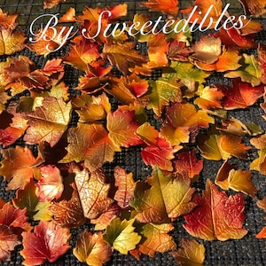 Könnte beinhalten: Eine Ansammlung essbarer Herbstblätter in Rot-, Orange- und Gelbtönen, angeordnet auf einer schwarzen Oberfläche. Die Blätter weisen detaillierte Adern und ein glänzendes Finish auf. Der Text "By Sweetedibles" ist sichtbar.