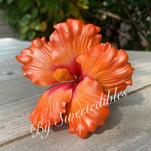 Hibiscus Cake Decorations Peach and little pink and burgundy Gumpaste Fondant Gum paste Gumpaste