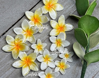 12 Plumerias white and yellow gumpaste fondant