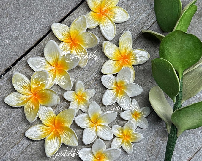 12 Plumerias white and yellow gumpaste fondant