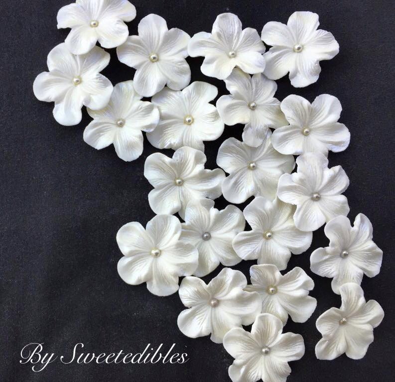 White Gum Paste Flowers Edible Cake Decorations 25 piece ...