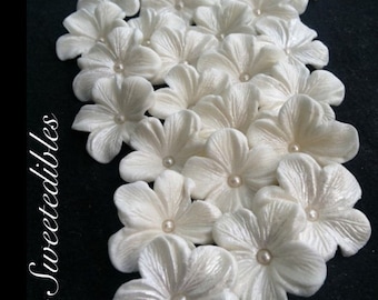 Gumpaste Cake Decorations WHITE Gum Paste Blossoms 24 piece