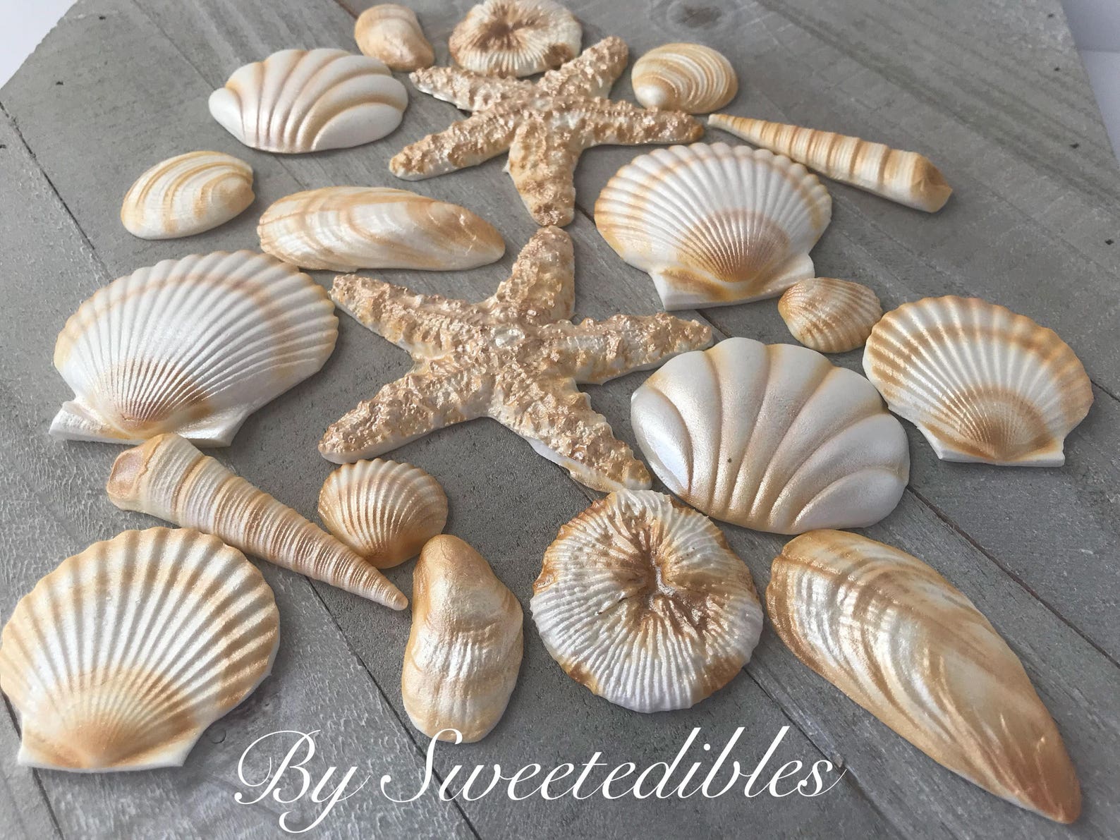 20 Piece Edible Gum Paste Seashells - Etsy