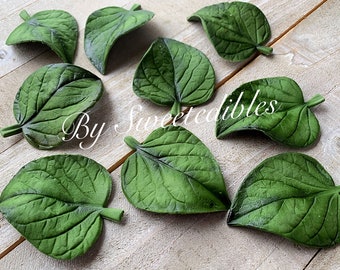 Gumpaste Leaves Green Foliage