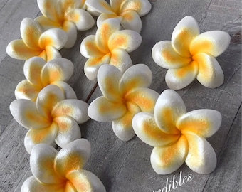 Gum Paste Hawaiian Plumeria White and Yellow 6 flowers Gumpaste