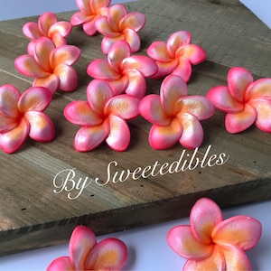 Gum Paste Hawaiian Plumeria Pink and Yellow Gumpaste