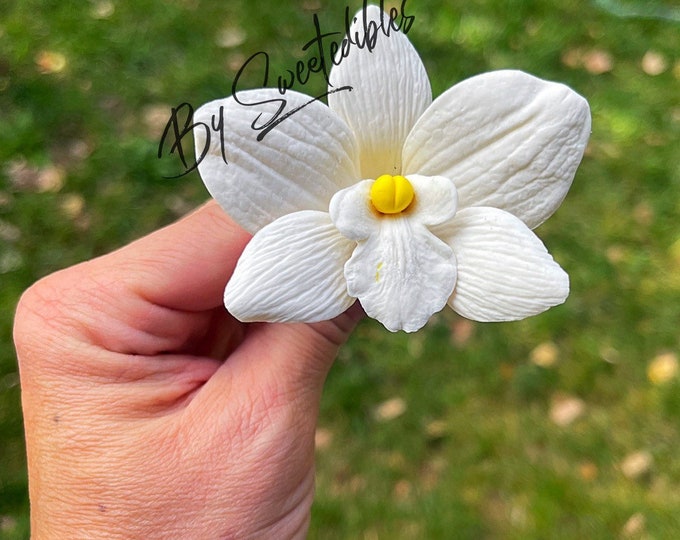 Gumpaste Dendrobium Sugar Orchid Singapore Orchid 1 flower