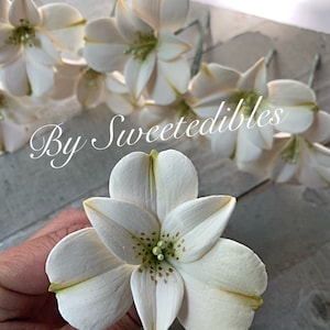 Fondant Alstroemeria Flower Cake Decoration White Gum Paste
