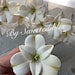 see more listings in the Gum Paste Alstroemerias section