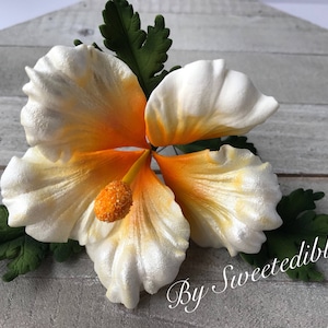 Gum Paste Hawaiian Hibiscus Flower Cake Decorations White Fondant flower Gumpaste