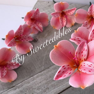 Alstroemeria Flower for Cake Decorating Gum Paste (Pink) Fondant