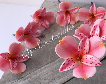 Alstroemeria Flower for Cake Decorating Gum Paste (Pink) Fondant