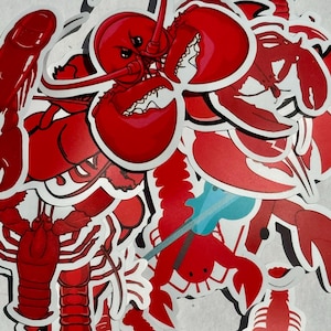 Surprise Random Crawfish Sticker Pack Selection Seafood Boil Red Lobster Sticker Bundle, Goofy Expression Sticker Fun