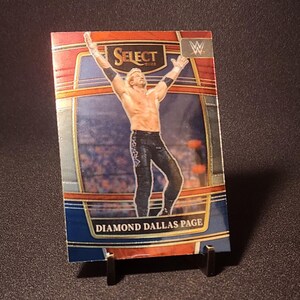 Diamond Dallas Page | 2022 Panini Select WWE #35 | World Wrestling Entertainment | WWF | Wrestling | Merch | Sports Memorabilia