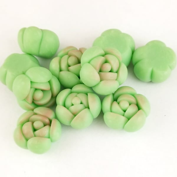 4pcs Tiny Succulent Cabochons - Mini Green Wholesale Cactus Charms