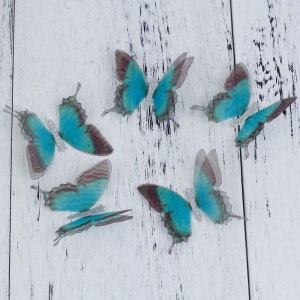 May include: Five teal blue butterflies with silver glitter accents on a white wood background.