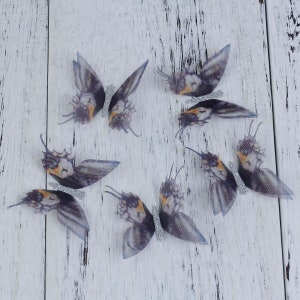 2stk 3D 3D Seide Schmetterling Verzierungen - Doppelseitige Schichten - Nähen Schmuck - Opaque Spitze Akzent DIY Organza Schmetterling Haarspange