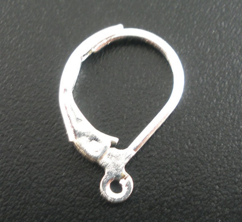 May include: Silver earring hook with a small loop at the bottom.