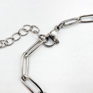 Pu&ograve; includere: Collana a catena d'argento con chiusura a moschettone. La catena &egrave; composta da maglie ovali.