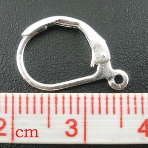 May include: Silver earring hook with a spring-loaded clasp. The hook is approximately 2 cm long.