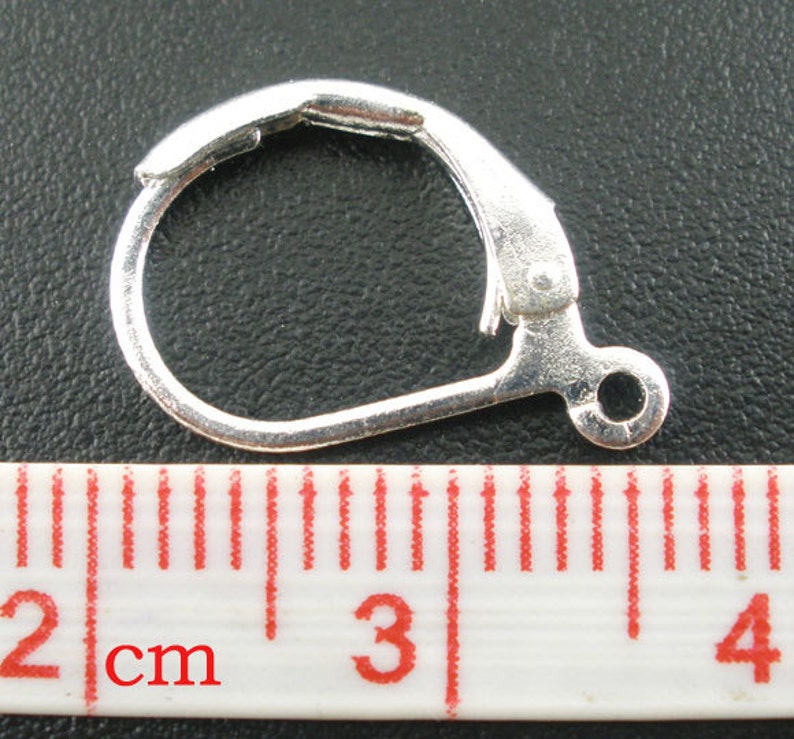 May include: Silver earring hook with a spring-loaded clasp. The hook is approximately 2 cm long.