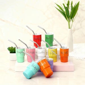May include: A collection of colorful, personalized stainless steel tumblers with silver straws. Each tumbler is a different color, including red, green, pink, white, yellow, orange, and teal, with names printed on them. A small succulent and a vase of flowers are in the background.