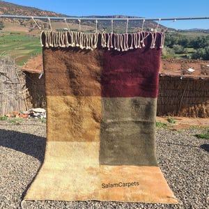 May include: A rectangular rug with a patchwork design in shades of brown, gold, and burgundy, with a fringe along the top edge. The rug is hanging outside on a sunny day. The text "SalamCarpets" is visible on the rug.
